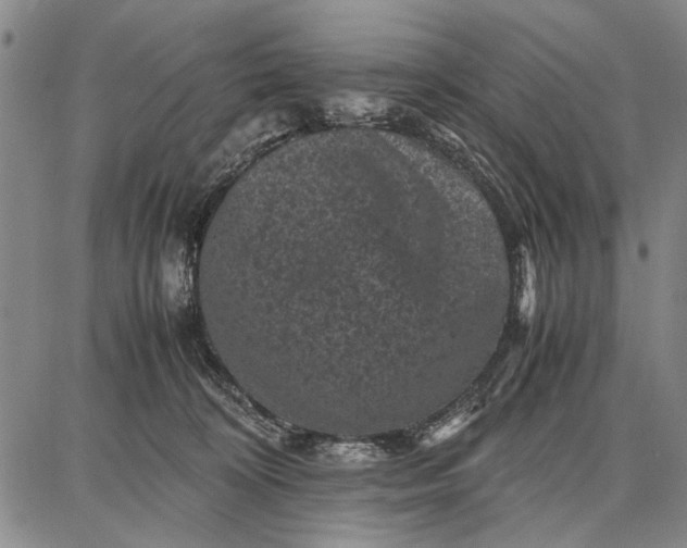 X0000087670324200705181711