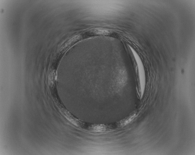 X0000087670325200705181711