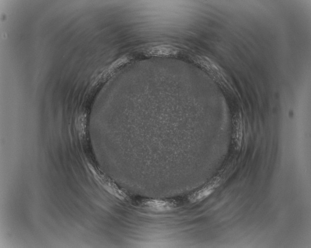 X0000087670326200705181711