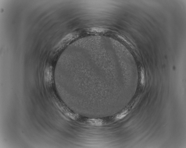 X0000087670328200705181711