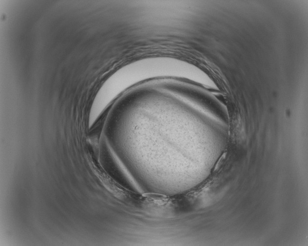 X0000087670329200705181711