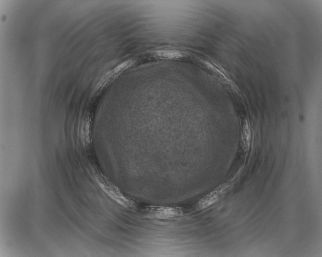 X0000087670330200705181711