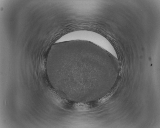 X0000087670331200705181711