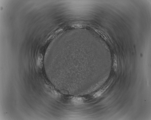 X0000087670332200705181711