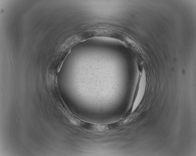 X0000087670333200705181711