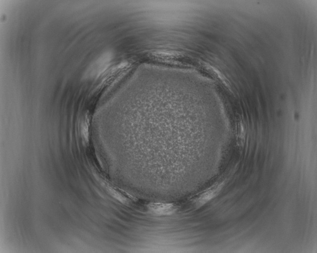 X0000087670334200705181711