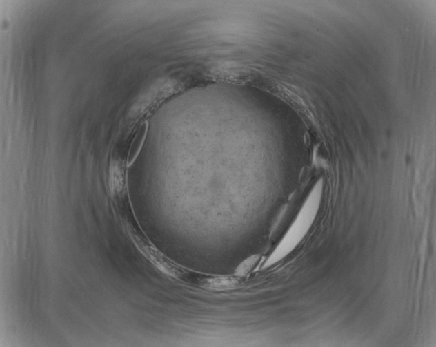 X0000087670335200705181711