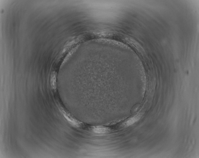 X0000087670336200705181711