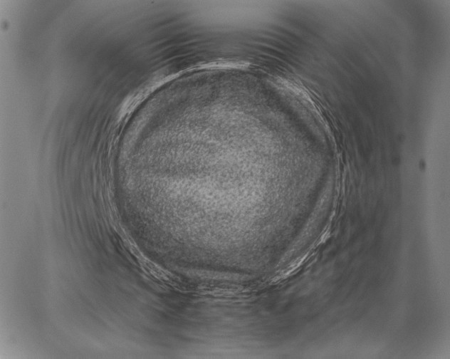 X0000087670337200705181710