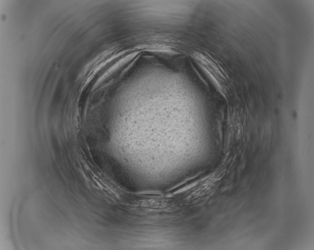 X0000087670338200705181710