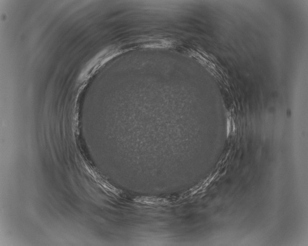 X0000087670339200705181710