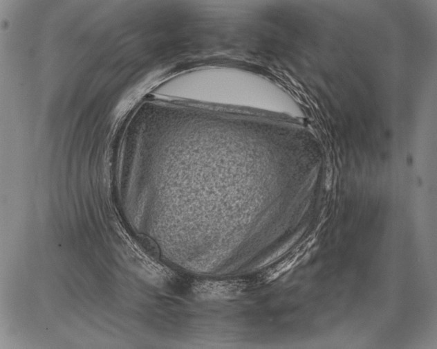 X0000087670341200705181710