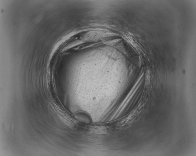 X0000087670342200705181710