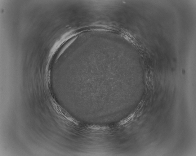 X0000087670343200705181710