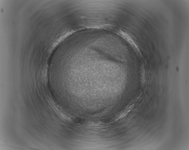 X0000087670346200705181710