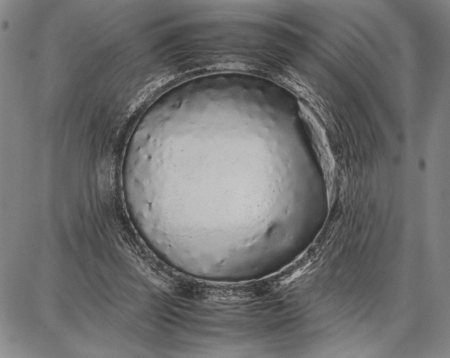 X0000087670347200705181710