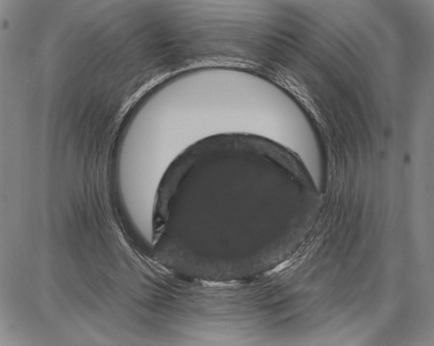 X0000087670348200705181710