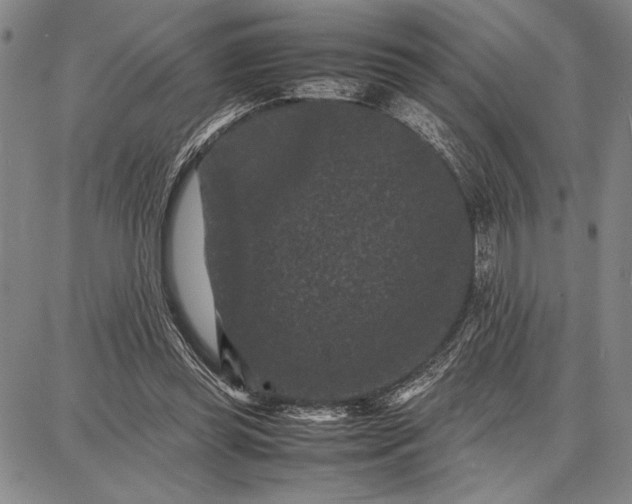 X0000087670349200705181710