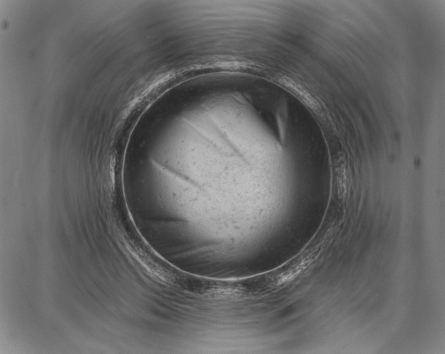 X0000087670350200705181710