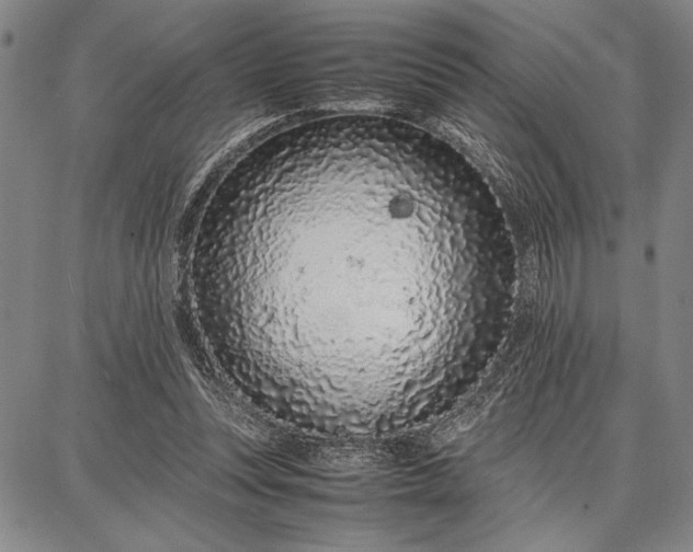 X0000087670351200705181710