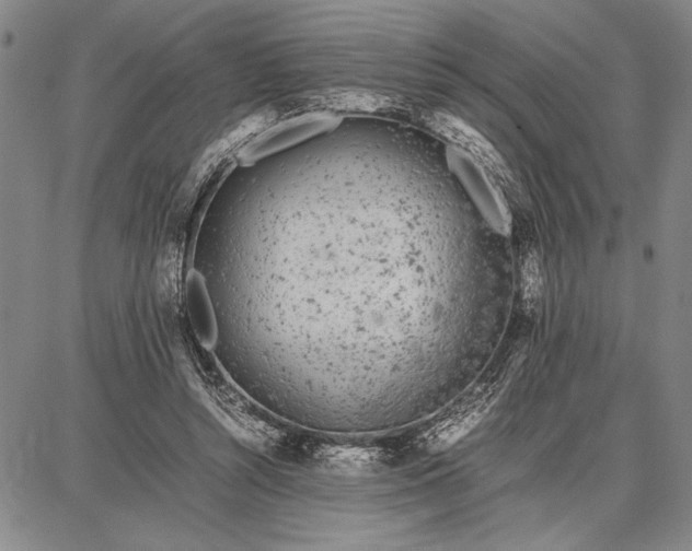 X0000087670352200705181710