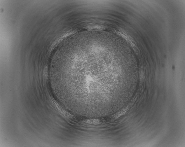 X0000087670353200705181710