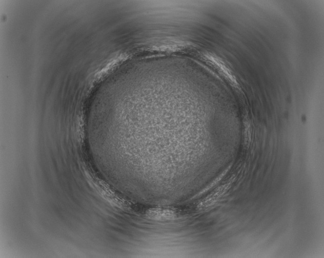 X0000087670354200705181710