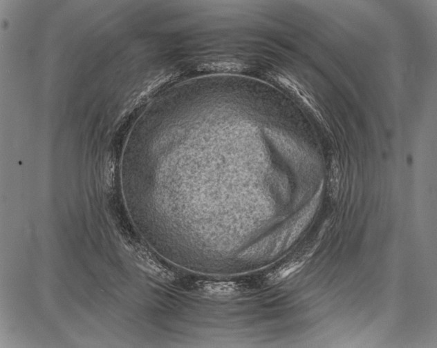 X0000087670355200705181710