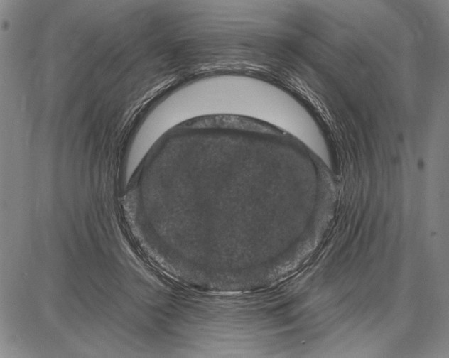 X0000087670356200705181710