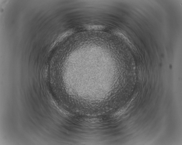 X0000087670357200705181710