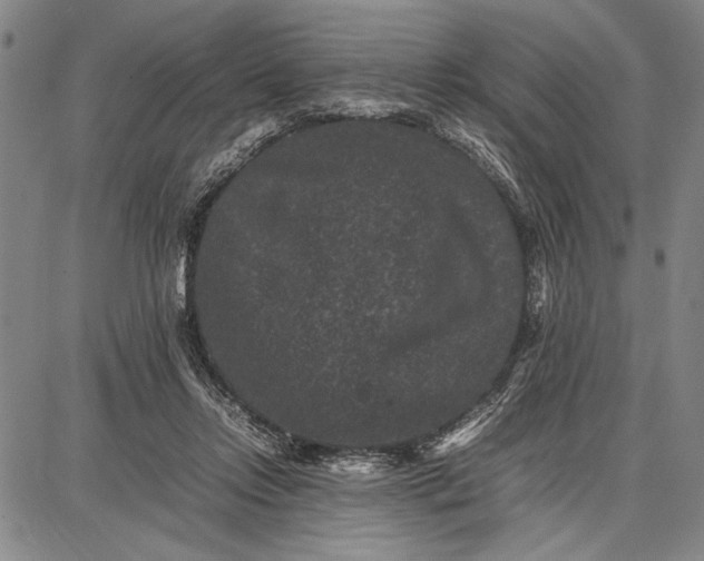 X0000087670358200705181710