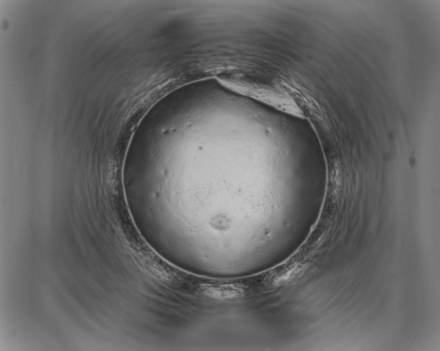 X0000087670359200705181710