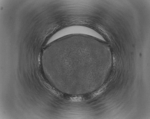 X0000087670362200705181710