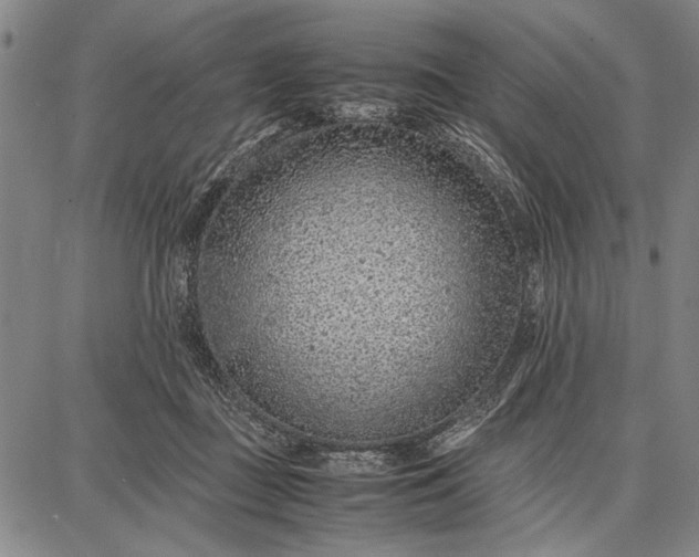 X0000087670363200705181710