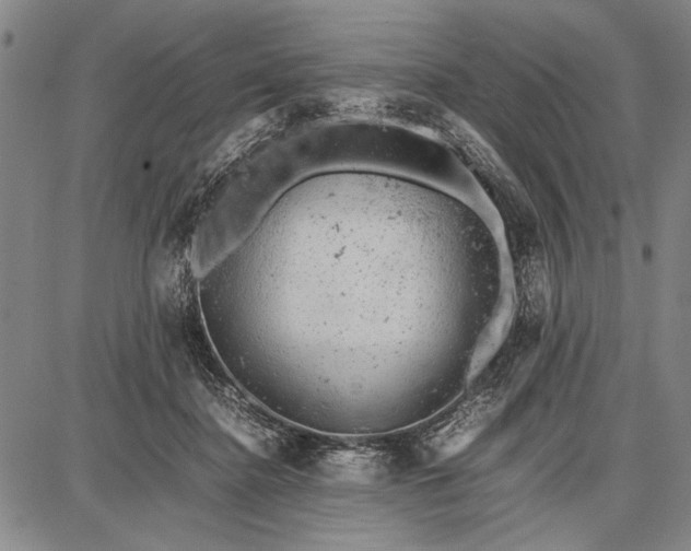 X0000087670364200705181710