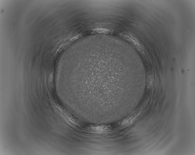 X0000087670365200705181710