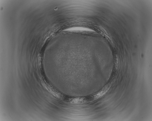 X0000087670366200705181710