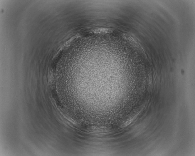 X0000087670367200705181710