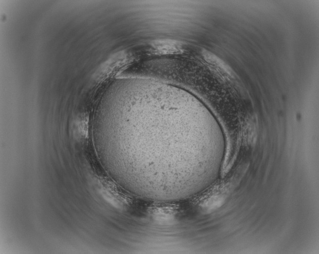 X0000087670368200705181710