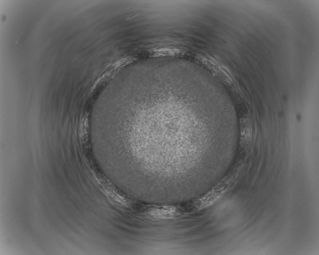 X0000087670369200705181710