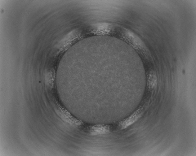 X0000087670370200705181710