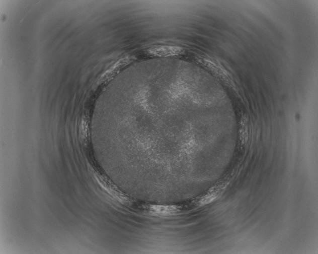 X0000087670371200705181710