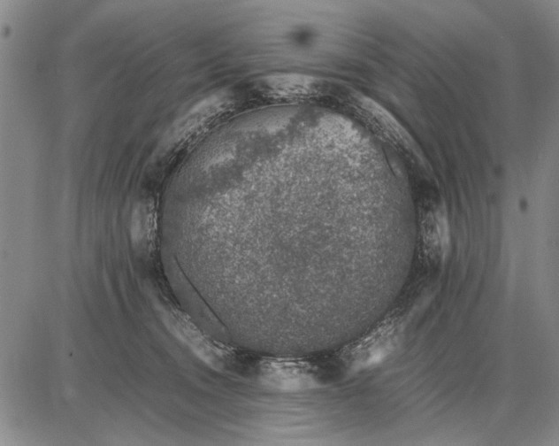 X0000087670372200705181710