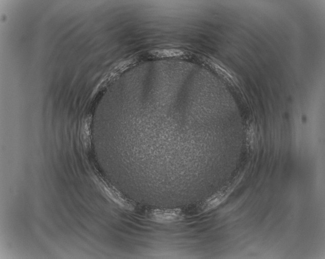 X0000087670373200705181711