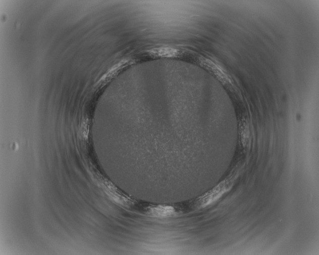 X0000087670374200705181711