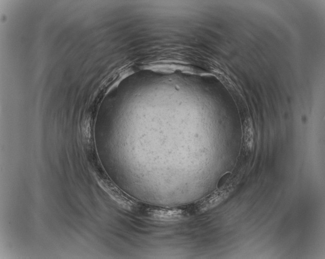 X0000087670375200705181711