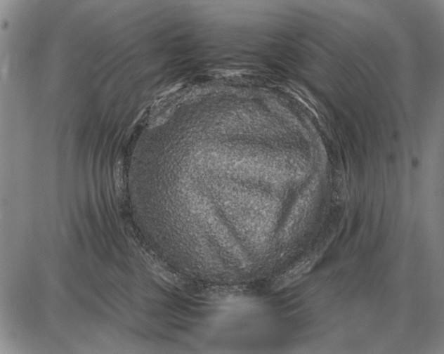 X0000087670377200705181711