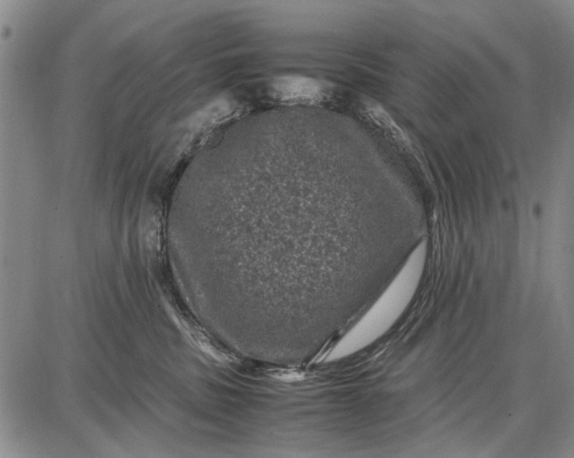 X0000087670379200705181711