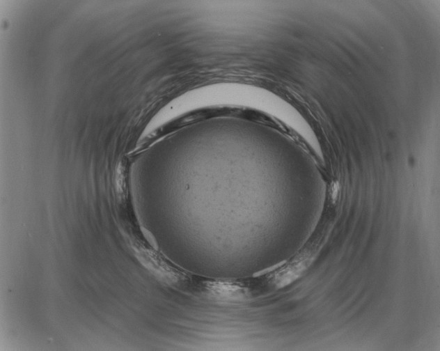 X0000087670380200705181711