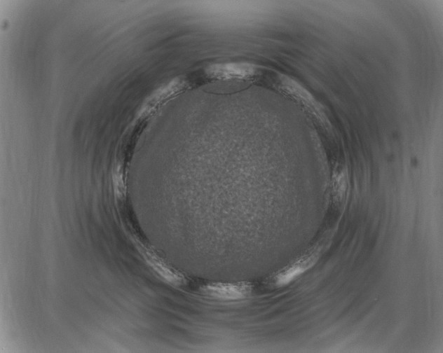 X0000087670381200705181711